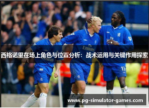 西格诺里在场上角色与位置分析：战术运用与关键作用探索