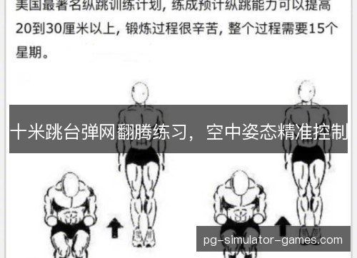 十米跳台弹网翻腾练习，空中姿态精准控制